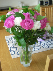 5arbrollopsadag2008_1