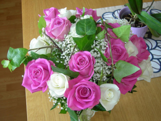 5arbrollopsadag2008_2