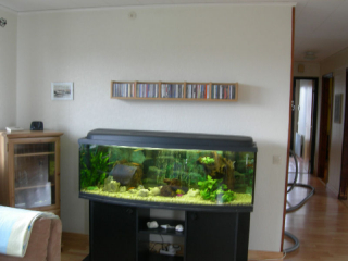 CDStallOverAkvariet