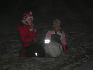 ForstaSnon2008_1