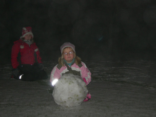 ForstaSnon2008_2