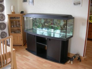 NyttAkvarium_1