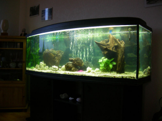 NyttAkvarium_2