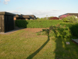 Tradgarden2008_3