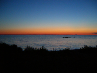 oland2008_1