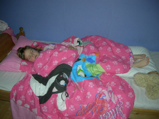 pippisoverover2009-03