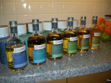 preludiumprovning2010-01-23-001
