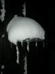 snodec09-1
