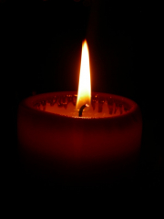 nyar2009-2010-005