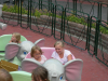 Stockholm2008_05